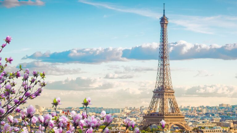 Paris, Eiffel Tower with Cherry Blossoms