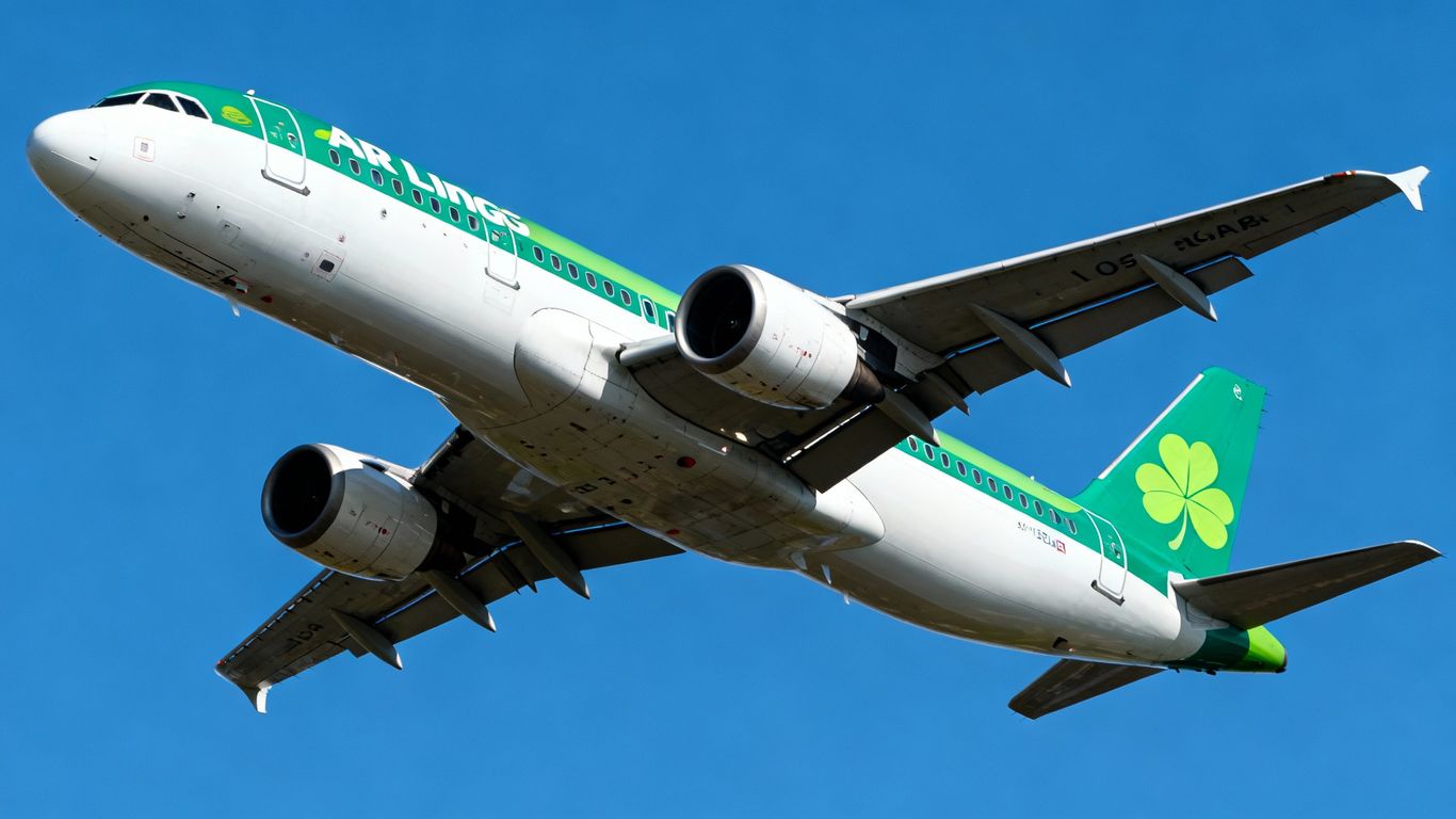 Aer Lingus airplane flying in a blue sky.